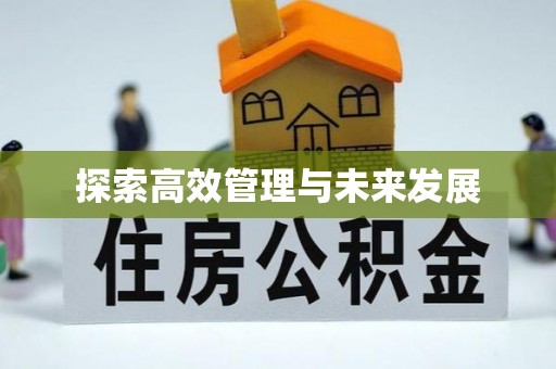 理塘探索高效管理与未来发展
