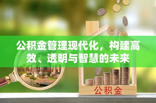 理塘公积金管理现代化，构建高效、透明与智慧的未来