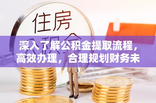理塘深入了解公积金提取流程，高效办理，合理规划财务未来
