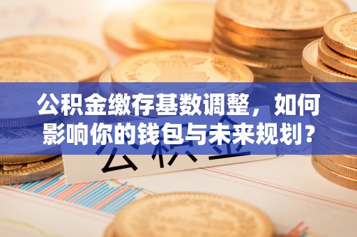 理塘公积金缴存基数调整，如何影响你的钱包与未来规划？