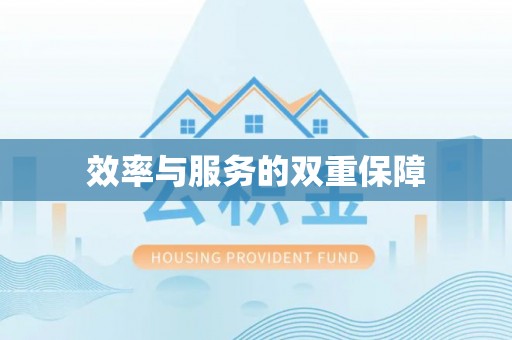 理塘效率与服务的双重保障