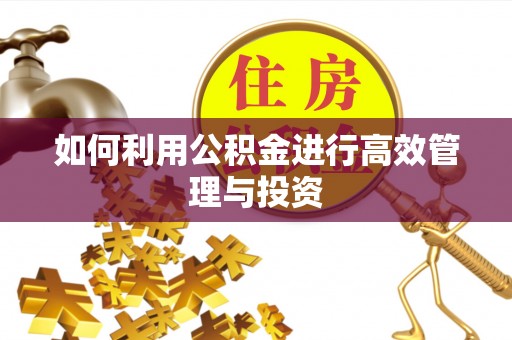 理塘如何利用公积金进行高效管理与投资