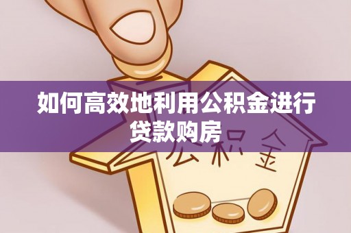 理塘如何高效地利用公积金进行贷款购房