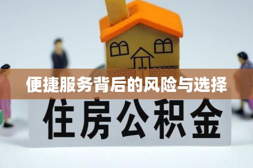 理塘便捷服务背后的风险与选择